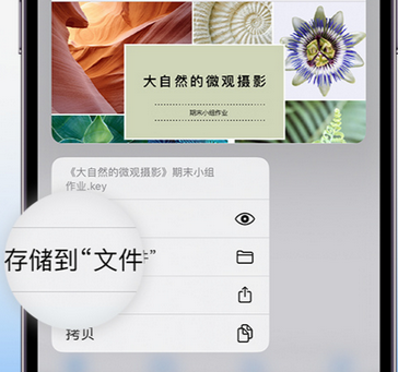 汉源apple维修中心分享iPhone文件应用中存储和找到下载文件