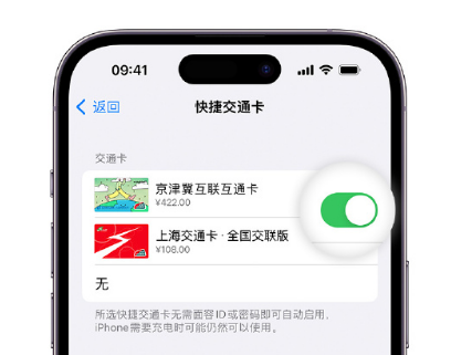 汉源apple维修点分享iPhone上更换Apple Pay快捷交通卡手绘卡面 