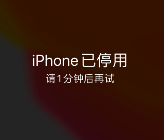 汉源苹果手机维修分享:iPhone 显示“不可用”或“已停用”怎么办？还能保留数据吗？ 