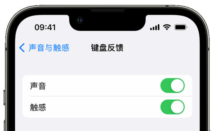 汉源苹果手机维修分享iPhone 14触感键盘使用方法 