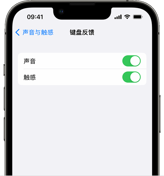 汉源苹果14维修店分享如何在 iPhone 14 机型中使用触感键盘 