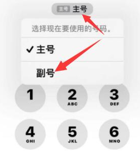 汉源苹果14维修店分享iPhone 14 Pro Max使用副卡打电话的方法 