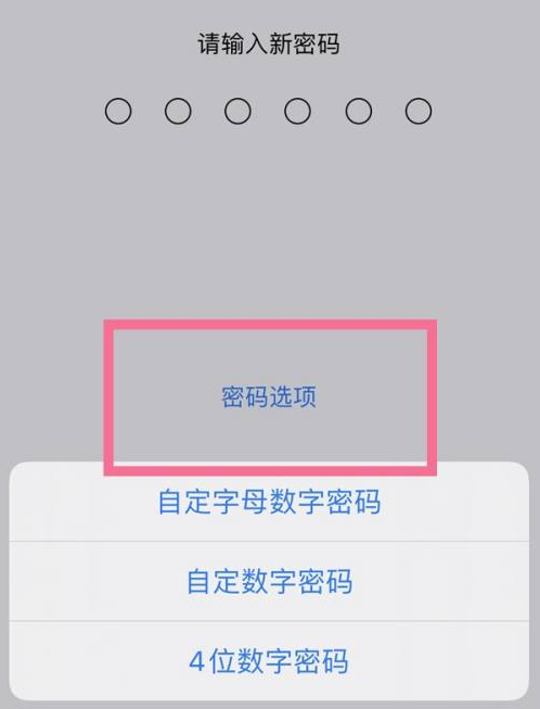 汉源苹果14维修分享iPhone 14plus设置密码的方法 