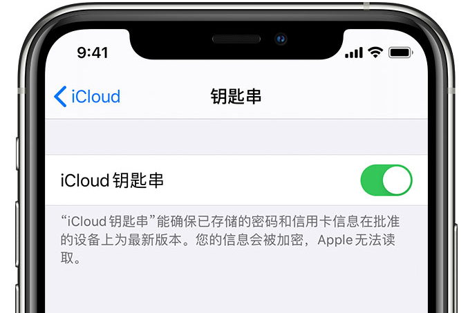 汉源苹果手机维修分享在 iPhone 上开启 iCloud 钥匙串之后会储存哪些信息 