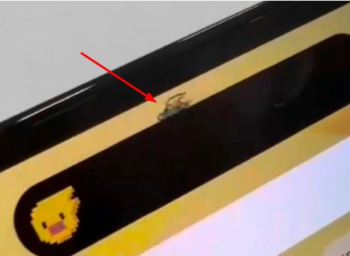汉源苹果14维修分享iPhone 14 Pro Max灵动岛怎么养宠物 