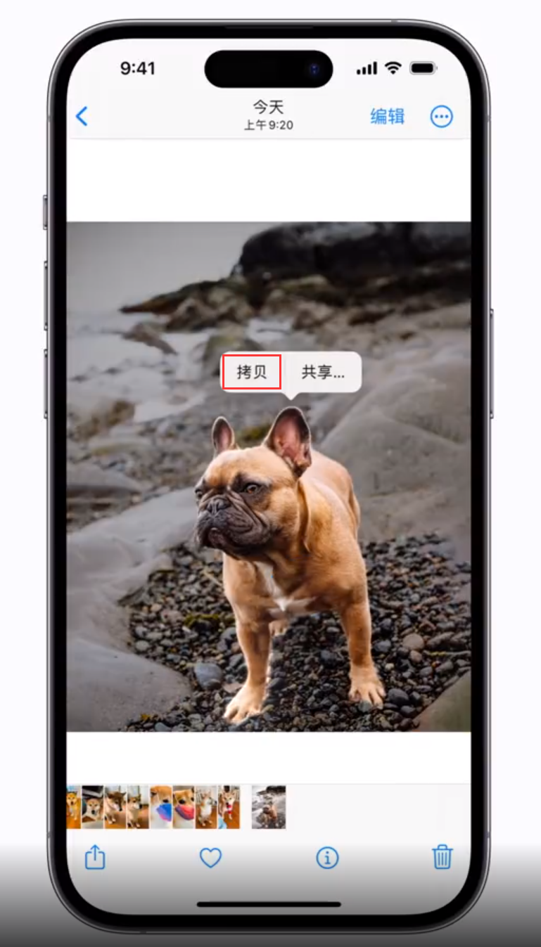 汉源苹果手机维修分享 iOS 16 自带一键抠图功能 