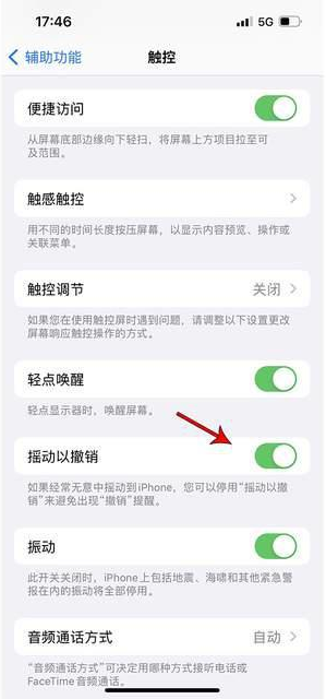 汉源苹果手机维修分享iPhone手机如何设置摇一摇删除文字 