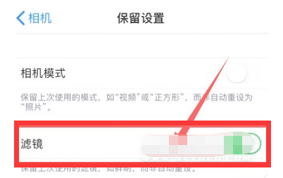 汉源苹果13维修分享iPhone13拍照有绿点是怎么回事 